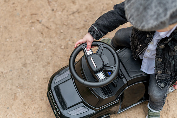 Das Lenkrad mit Tasten