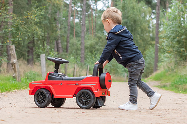 Rückenlehne/Schiebestange hinten