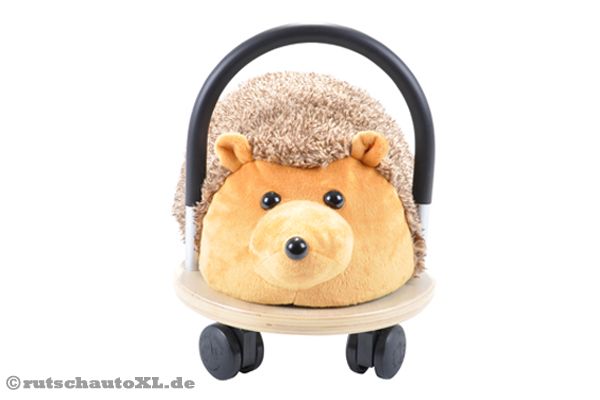 Nase und Ohren sind gespitzt, bereit für die Entdeckungstour.