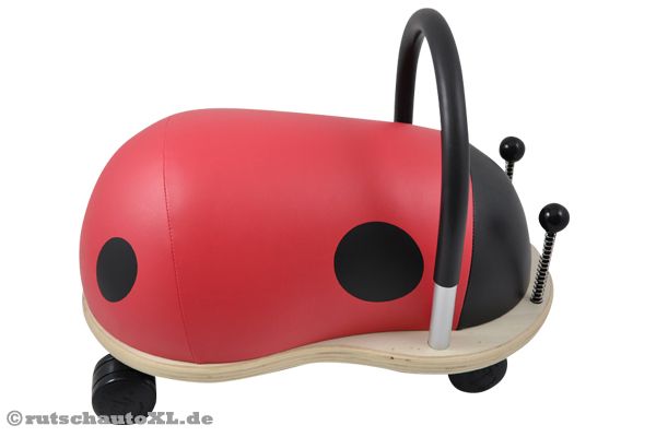 Die Fühler wippen hin und her, da sie auf Metallfedern stecken.