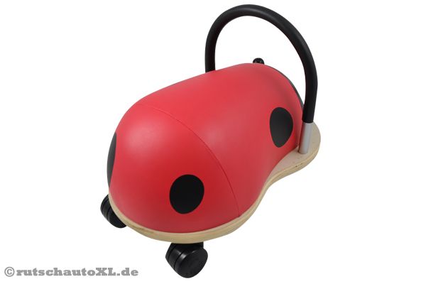 Dieser Marienkäfer ist bereit zum Abflug.